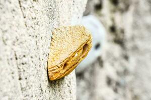 Close up shot of the equipment use for wall climbing photo