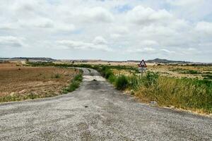 Scenic road view photo