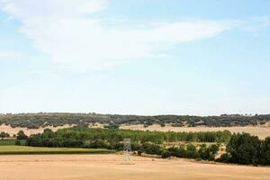 a field with trees photo