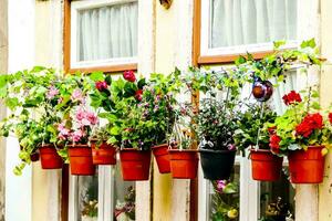 a window with several pots of flowers hanging from it photo