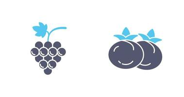 Grapes and Tomato Icon vector