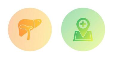 Liver and Location Icon vector