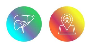 Liver and Location Icon vector