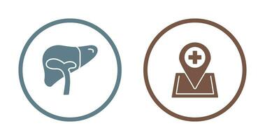 Liver and Location Icon vector