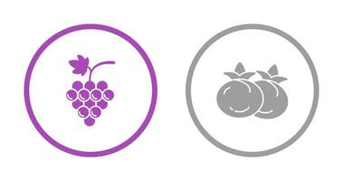 Grapes and Tomato Icon vector