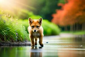 a fox is walking along a path in the water. AI-Generated photo