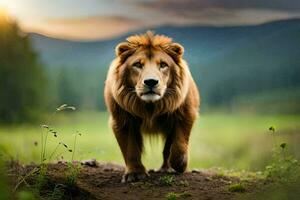 a lion walking in the grass. AI-Generated photo