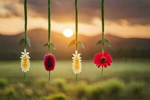 four flowers hanging from strings in the sunset. AI-Generated photo