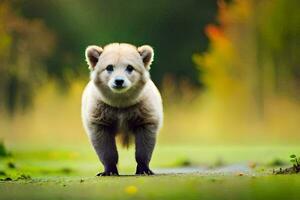 un bebé oso caminando en el césped en el bosque. generado por ai foto