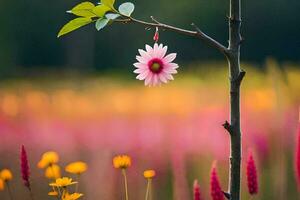 un rosado flor es colgando desde un rama en un campo. generado por ai foto