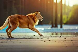 un rojo lobo corriendo en el playa. generado por ai foto