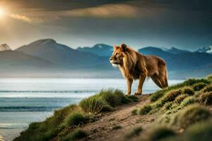 a lion stands on the edge of a hill overlooking the ocean. AI-Generated photo