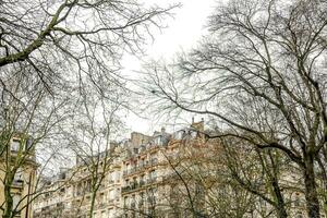 un calle con arboles y edificios en el antecedentes foto