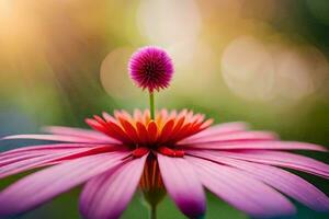 un rosado flor con un soltero flor. generado por ai foto