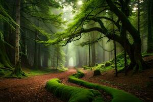 un camino mediante un bosque con cubierto de musgo arboles generado por ai foto