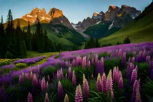 wall art - photograph - purple lupine field by james kennedy. AI-Generated photo