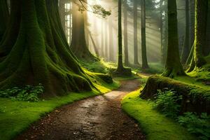 a path through a forest with mossy trees. AI-Generated photo