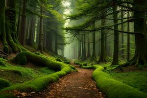 un camino mediante un bosque con cubierto de musgo arboles generado por ai foto