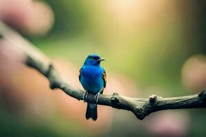 un azul pájaro se sienta en un rama en frente de un borroso antecedentes. generado por ai foto