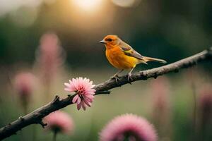 foto fondo de pantalla el sol, flores, pájaro, primavera, el pájaro, pájaro, primavera, el. generado por ai