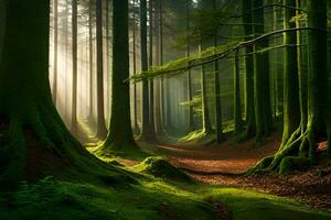 un bosque con arboles y luz de sol brillante a través de. generado por ai foto
