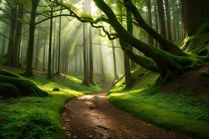 a path through a green forest with trees and sunbeams. AI-Generated photo