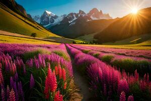 el Dom sube terminado un campo de lavanda flores en el montañas. generado por ai foto