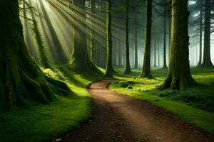 a path through a green forest with sunbeams shining down. AI-Generated photo