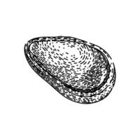 snack pine nut sketch hand drawn vector
