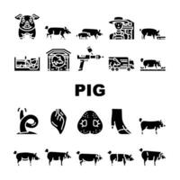 pig pork farm icons set vector