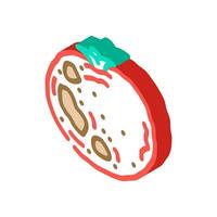 tomato rotten food isometric icon vector illustration