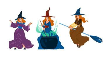 beautiful witch woman vector