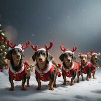 dachshunds as reindeer in santa's sleigh graphic for christmas photo