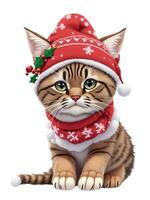 little kitten in a warm hat graphic for winter or christmas photo