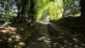 Herbst Fahrt durch still Landschaft Straßen video