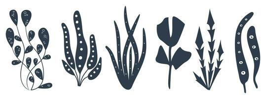 Hand drawn vector illustrations. Seaweed. Perfect for your design.eps