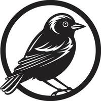 Black Finch A Vector Logo Design for a Business Thats Ready to Strike Black Finch A Vector Logo Design for a Brand Thats Always on the Hunt