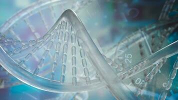 The DNA image for sci or education concept 3d rendering photo