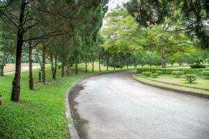 pasarela en natural parque. foto