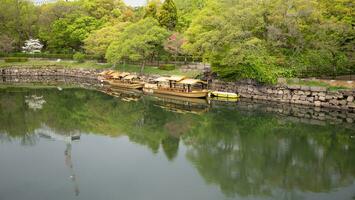 Beatiful lake in the natural park. photo