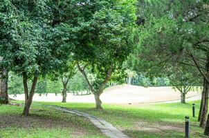 Footpath in natural park. photo