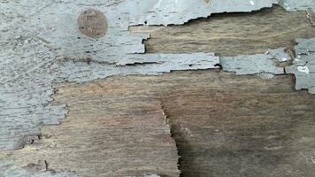 Dirty plywood. Old weathered plywood. Vintage background made of aged plywood photo