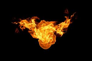 Fire flames on a black background photo