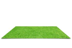 Lawns isolated on white background photo