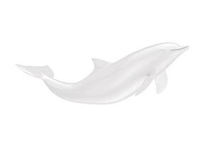 White Tursiops Truncatus Ocean or Sea Bottlenose Dolphin in Clay Style. 3d Rendering photo