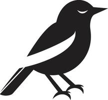 Sparrow Serenity Icon Swift Pigeon Badge vector