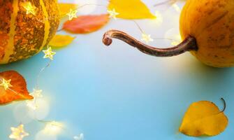 Autumn pumpkins and yellow autumn leaves on light blue background as decorations for thanksgiving day thanksgiving banner with copy space photo