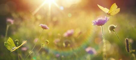 Abstract summer autumn field landscape at sunset dry ears of grass in the meadow and a flying butterfly, warm golden hour of sunset, sunrise time Calm autumn nature blurred forest background photo