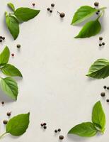 Art frame border, italian cooking background old parchment with fresh mediterranean herbs leaves, allspice basil photo