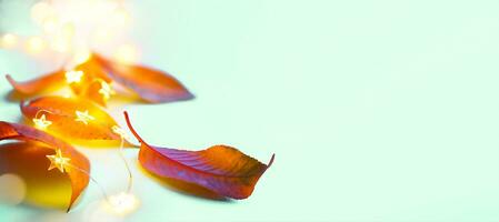 Art Banner autumn background photo